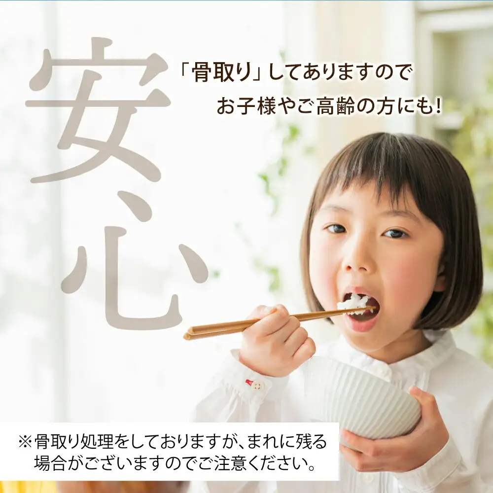 訳あり ゴロゴロ銀鮭 切り落とし 1.5kg ×2箱 (計3kg) FN-Limited-VO
