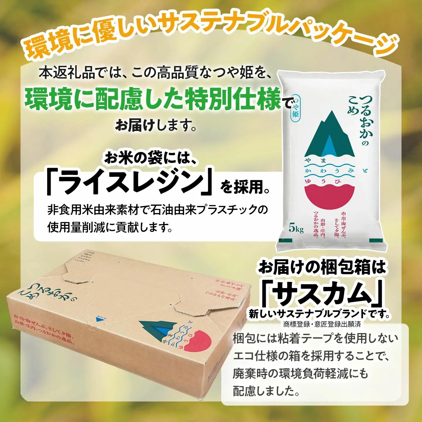 【令和7年産】 特別栽培米 つや姫 精米 5kg (5kg×1袋)　山形県 庄内産 　| つやひめ 5キロ 米 お米 コメ 白米 食品 ご飯 ごはん 美味しい おいしい ブランド米 エコ包装 おすすめ 人気 山形県 鶴岡市 東北 国産 お取り寄せ SDGs未来都市鶴岡 返礼品