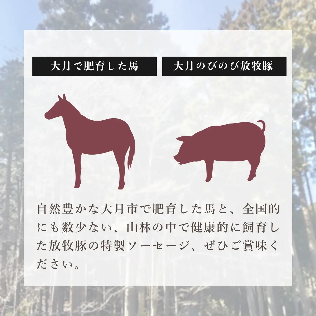 大月市内で肥育した馬と放牧豚で作ったソフトサラミソーセージ 【馬肉80％：豚肉20％】　70gシート4枚