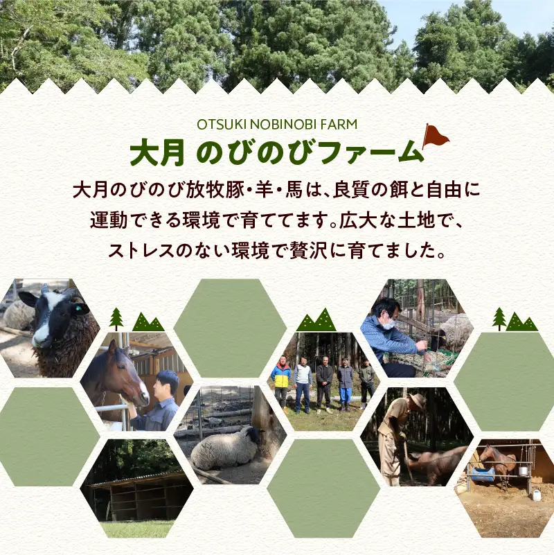 大月のびのび放牧羊 【ステーキ＆焼き肉用ラム肉】 400g （モモ200g・バラ200g）