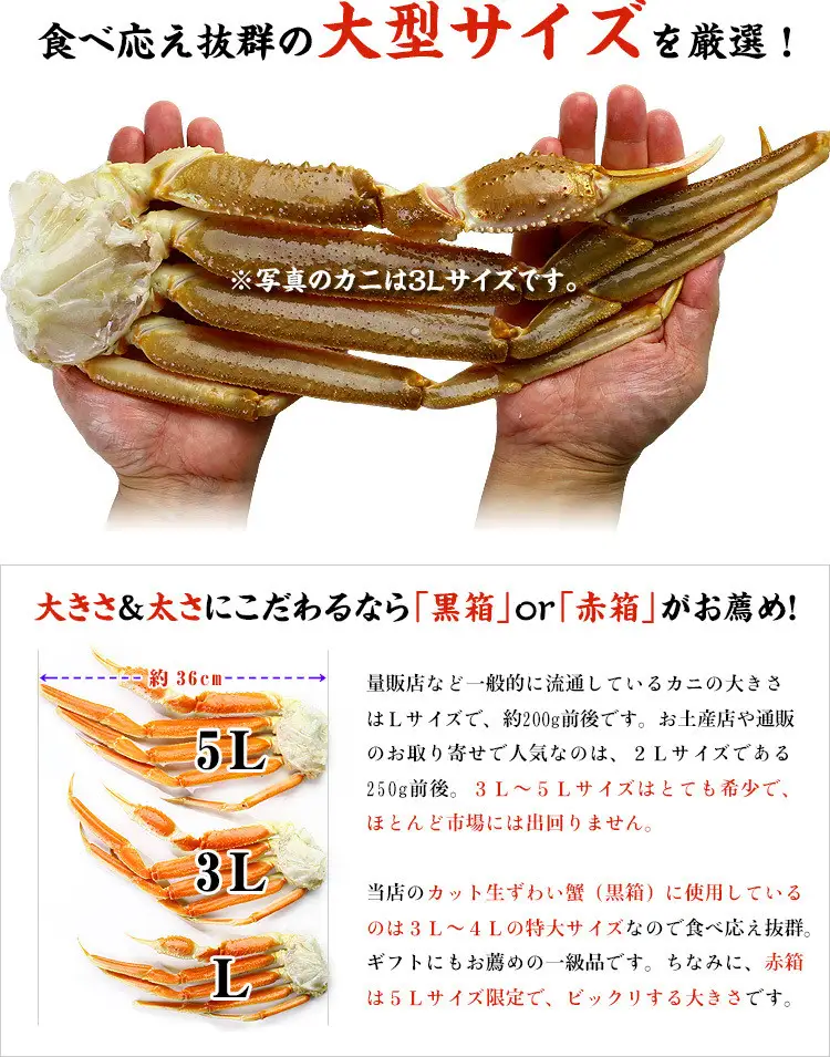 【12月31日まで指定配送可（備考欄の記載必須)】生ずわいがに 約1kg×3 [024-b324] かに