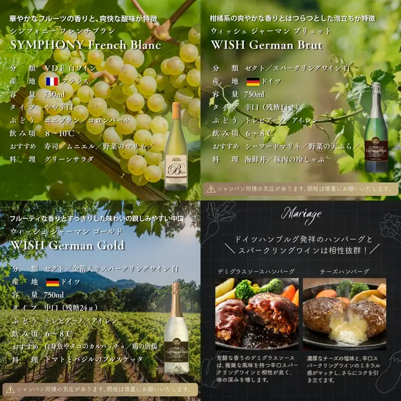 W105 伊・仏・独 12本セット【E-109】
