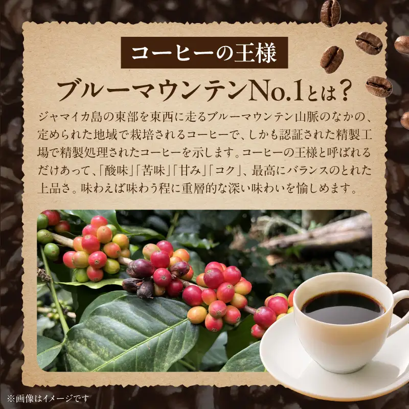 ブルーマウンテンＮｏ．１（豆のまま） ブルーマウンテンNo.1 豆のまま コーヒー好き 豆香館 日本人の味覚 相性が良い 高級豆 ブルーマウンテン 浅煎り コーヒーの王様 ジャマイカ 深い味わい 上品な味 コーヒー ご褒美 プレゼント用 ギフト用 愛知県 小牧市 送料無料 [104T03]