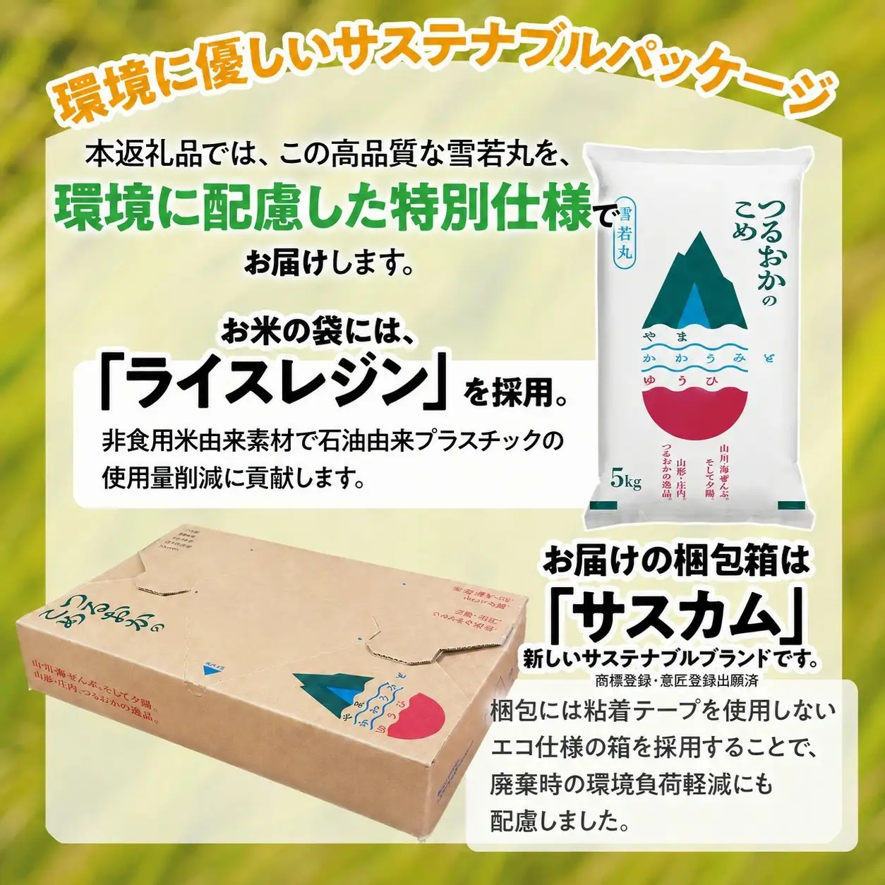 【令和7年産】 特別栽培米 雪若丸 玄米 10kg(5kg×2袋)　山形県 庄内産 　| ゆきわかまる 10キロ 米 お米 コメ 食品 ご飯 ごはん 美味しい おいしい ブランド米 庄内米 エコ包装 おすすめ 人気 山形県 鶴岡市 東北 国産 お取り寄せ SDGs未来都市鶴岡 返礼品