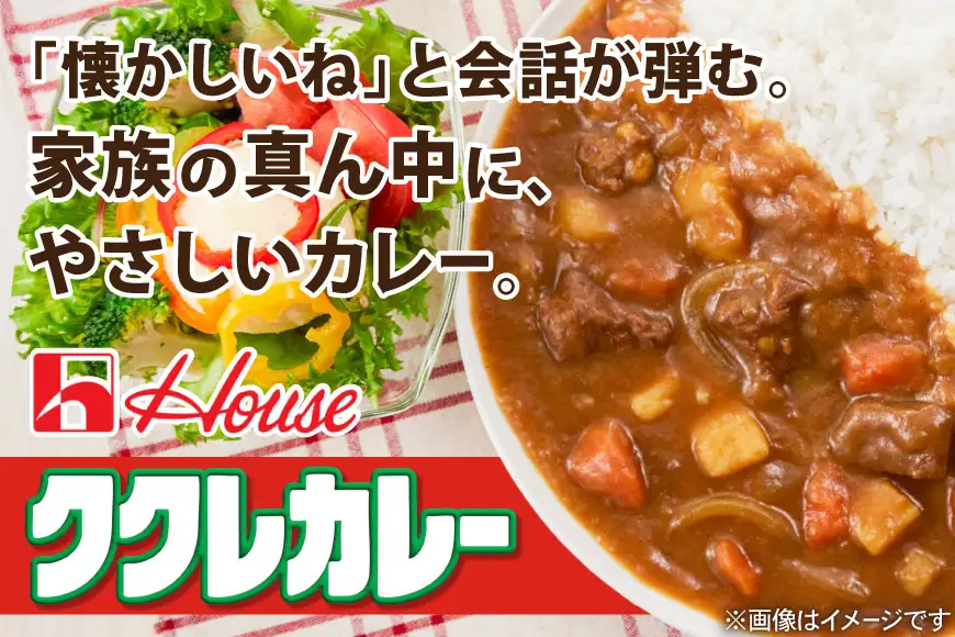 カレー レトルト ハウス ククレカレー 中辛 180g 2個