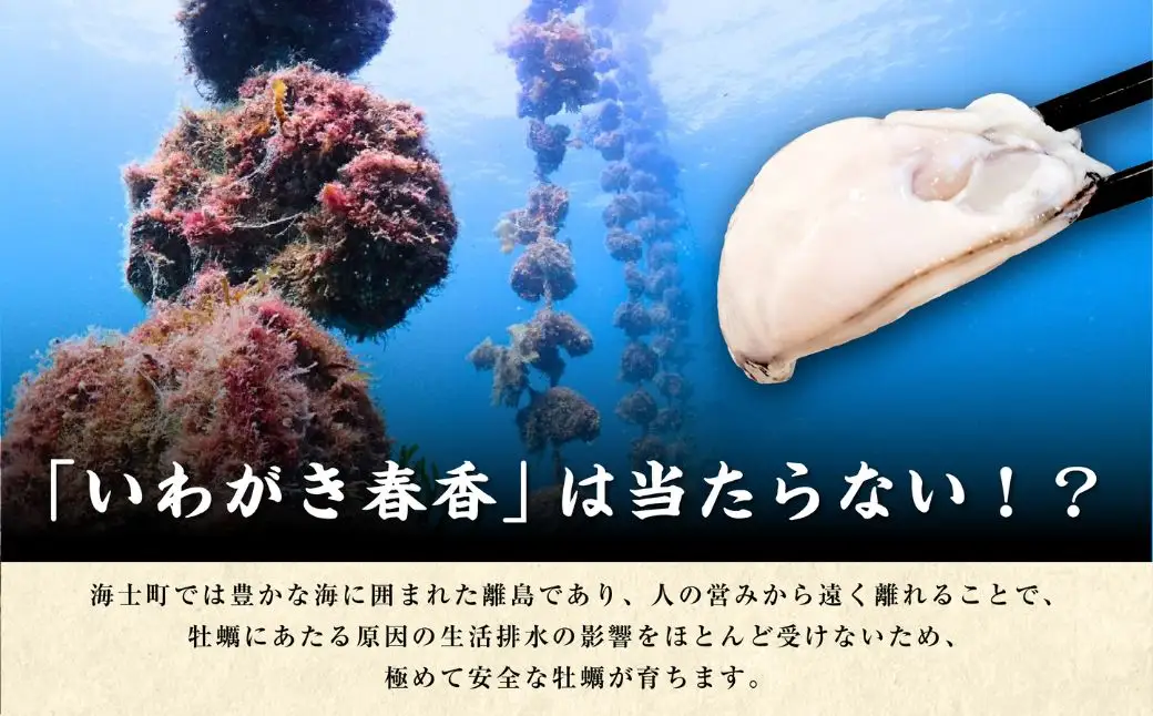 【訳あり】海士町産 牡蠣 冷凍 1kg  牡蠣 