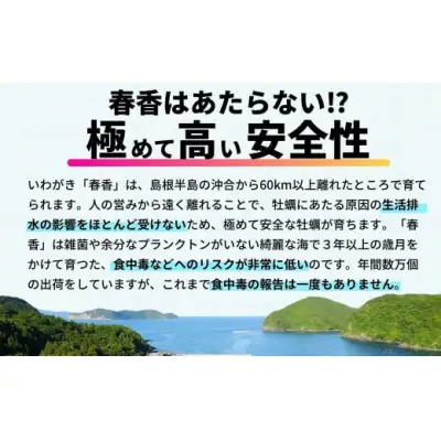 【訳あり】海士町産 牡蠣 冷凍 2kg  牡蠣 