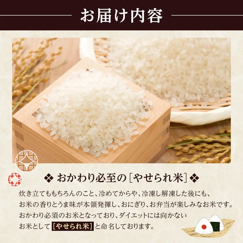先行予約【2026年11月上旬頃～順次発送予定】ちっくほっくふぁ～む　やせられ米２ｋｇ| 筑北村 お米 米 ごはん ご飯 精米 健康 食材 食生活 主食 食卓活用 家庭用 日常使い 食感 人気 おすすめ 米穀 食事 食生活支援 お取り寄せ 通販 送料無料 ふるさと納税