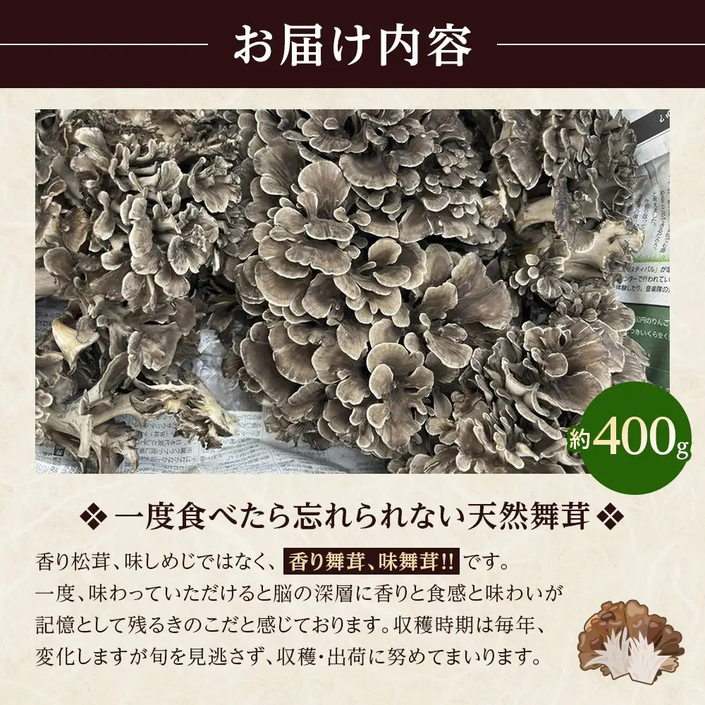 先行予約【2026年9月中旬頃～順次発送予定】ちっくほっくふぁ～む　山の恵み　原木舞茸 400g| 筑北村 農産物 きのこ 栽培由来 天然近い環境 肉厚食感 香り豊か 旨み強い 秋収穫 食卓活用 調理用途 人気 おすすめ 山菜 食材 和食素材 炒め物 炊き込み料理 天ぷら お取り寄せ 通販 送料無料 ふるさと納税