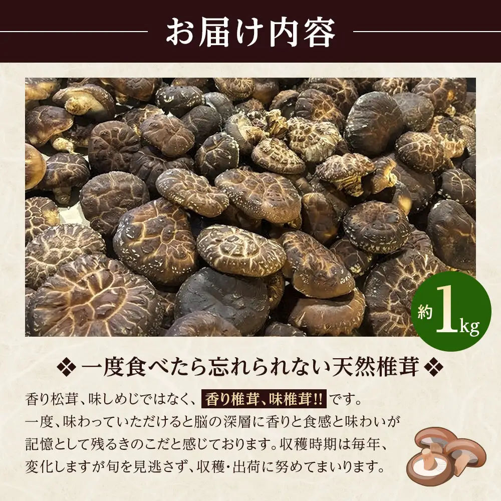 先行予約【2027年3月上旬頃～順次発送予定】ちっくほっくふぁ～む　山の恵み　原木椎茸 1kg| 筑北村 農産物 きのこ 原木栽培 香り高い 旨味成分豊富 肉厚食感 出汁利用 煮物用途 食卓活用 調理素材 家庭用 人気 おすすめ 椎茸料理 和食素材 汁物 鍋料理 食材利用 加工食材 お取り寄せ 通販 送料無料 ふるさと納税