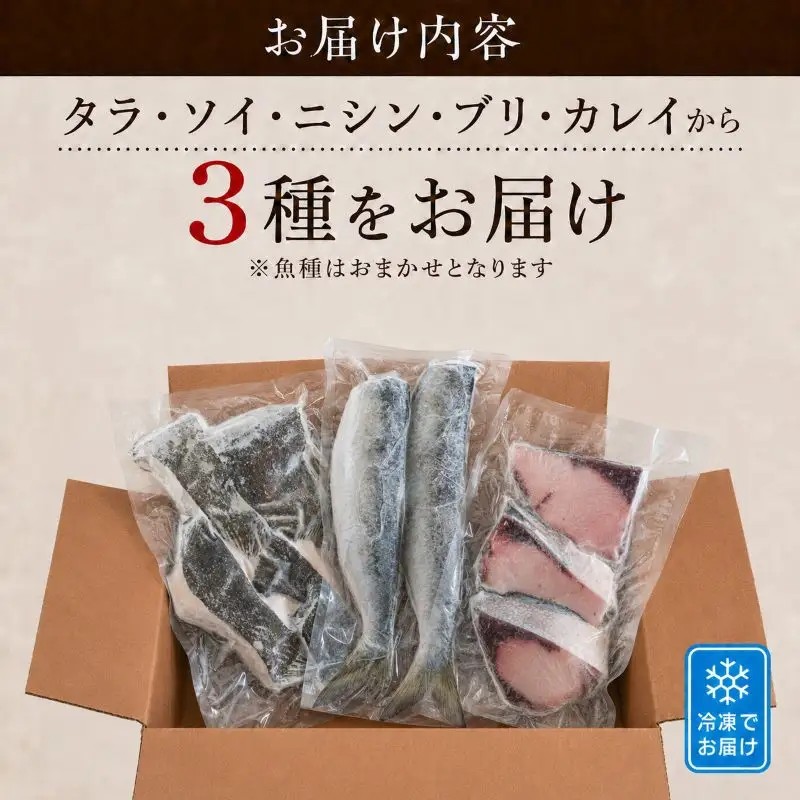 【切り身セット】 おまかせ3種 詰め合わせ 約2~4人前 冷凍切り身【AO】