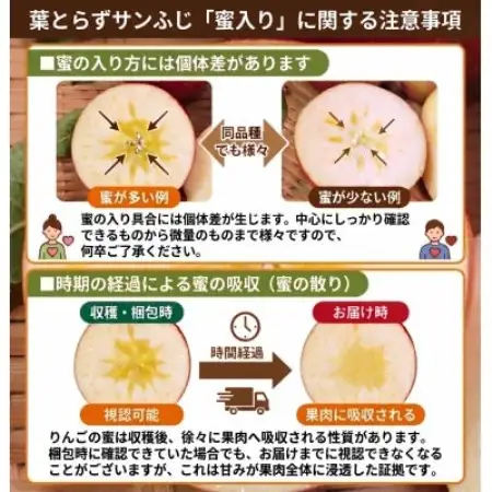 11-12月蜜入り時期に発送! 平均糖度13度以上 葉とらずサンふじ 約5kg 訳あり 青森 りんご【配送不可地域：沖縄県】【1740610】