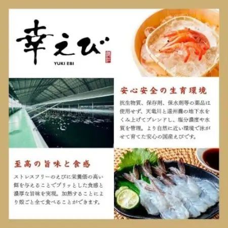 【大阪南森町で使える】有名グルメ番組で紹介された 「幸えび」を贅沢に味わう極みコース(ペアお食事券)【1738490】