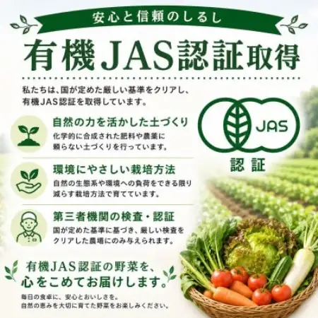 【発送月固定定期便】旬の沖縄野菜(とうもろこし・ナス・オクラ・カリフローレ・スナップエンドウ)全5回【配送不可地域：離島】【4087561】