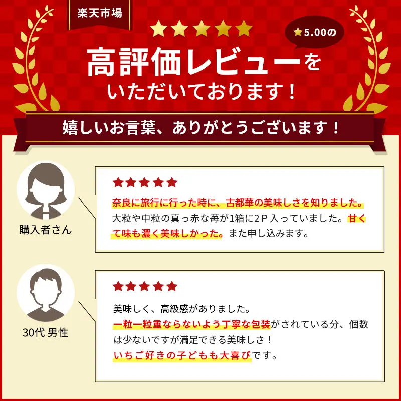 いちご あすかルビー 古都華 奈乃華 奈良県産 いちご【270g×2パック】【定期便3回】【先行予約】