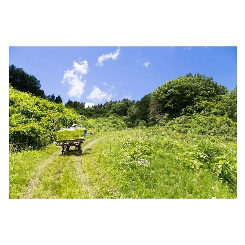 【令和8年産 先行予約】【玄米】江戸伝承厳選棚田米4kg（4kg×2） お米 コメ 4kg