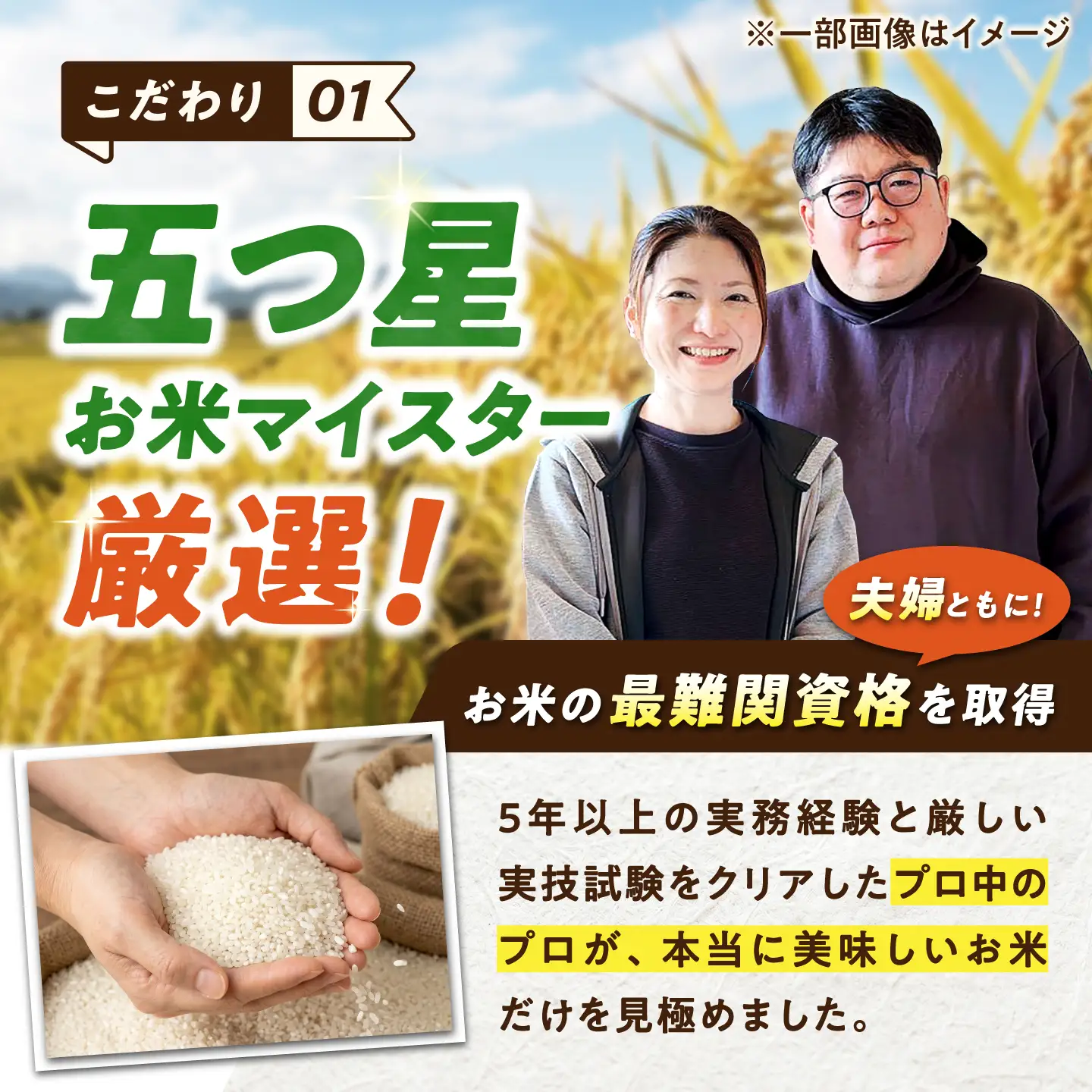 【3回定期便】 無洗米 さがびより 5kg（5kg×1袋） 無洗米 お米 白米 精米 佐賀県産 米 /大塚米穀店[UFE002]