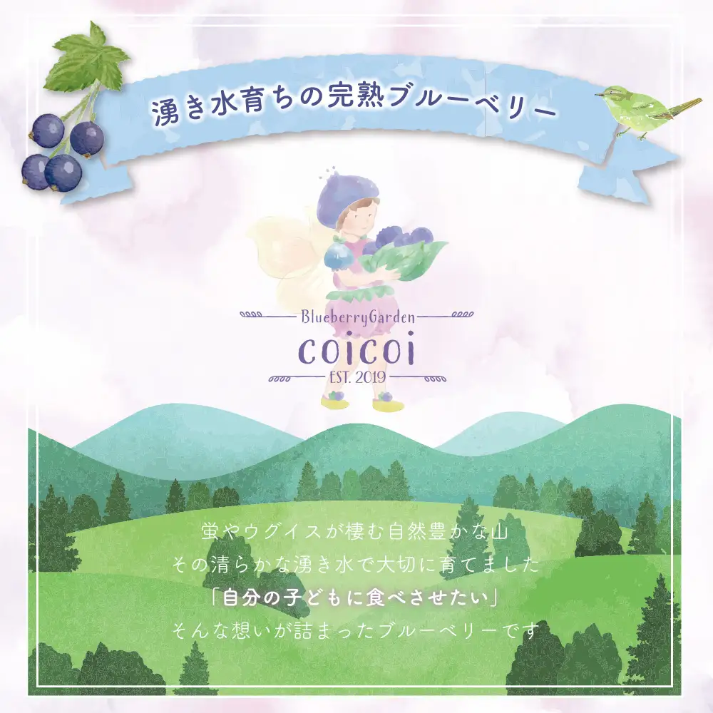 【訳あり2kg】湧き水育ちの国産冷凍ブルーベリー(500g×4パック)農家直送【ブルーベリーガーデンcoicoi/愛知県額田郡幸田町】 ※2026年6月～発送