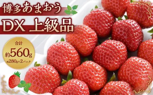 博多あまおうリッチな3回定期便 いちご イチゴ 苺 あまおう くだもの 果物 フルーツ 果実 果汁 果肉 定期便 定期 定期配送 国産 福岡県産 【 2026年12月上旬～2027年2月下旬発送予定 】