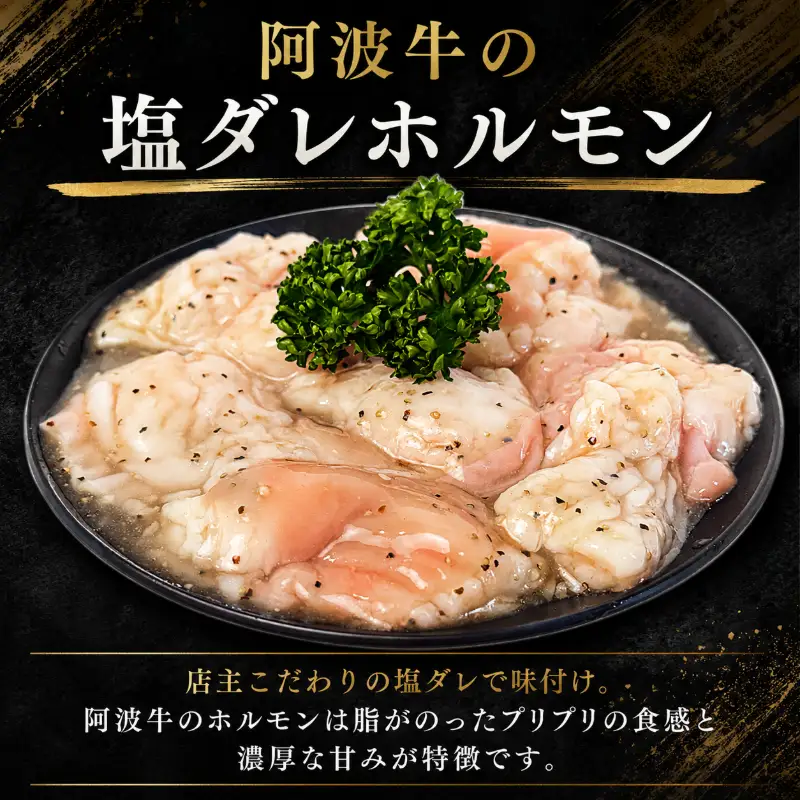 国産黒毛和牛 ハラミ・塩ダレホルモンセット計500g 肉 国産 阿波牛