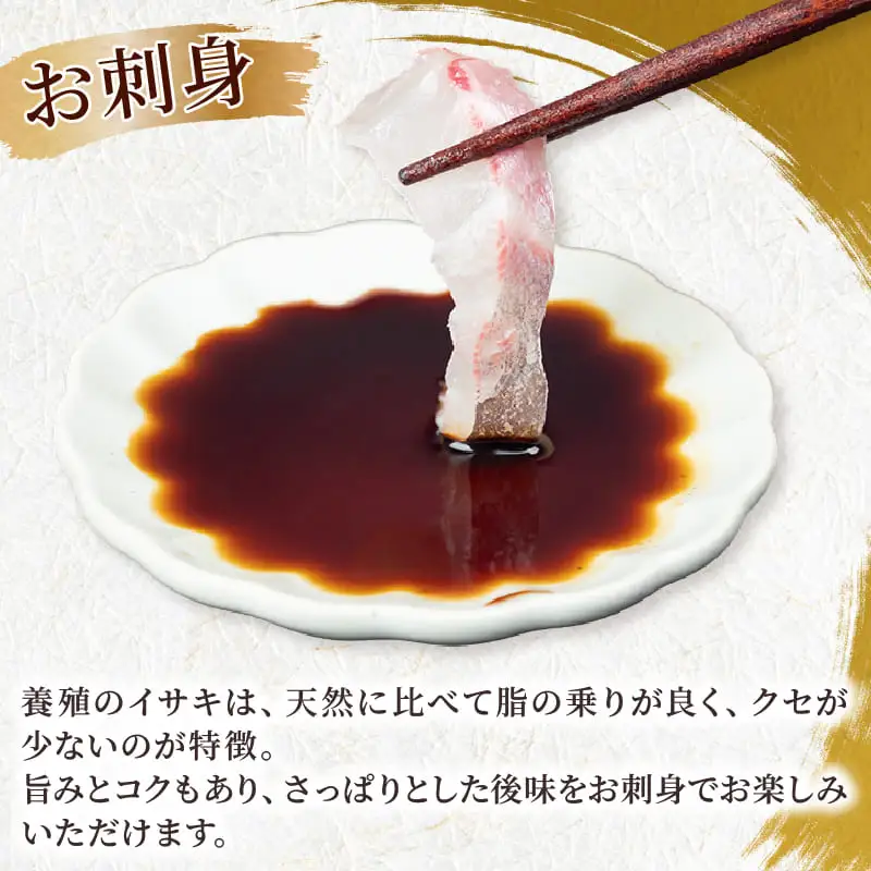 イサキ 皮なし お刺身用柵 2尾分 お刺身