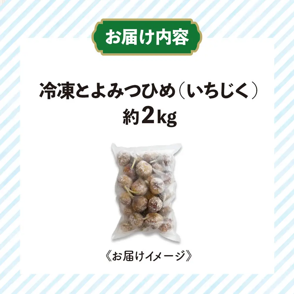 冷凍いちじく（とよみつひめ）約２kg