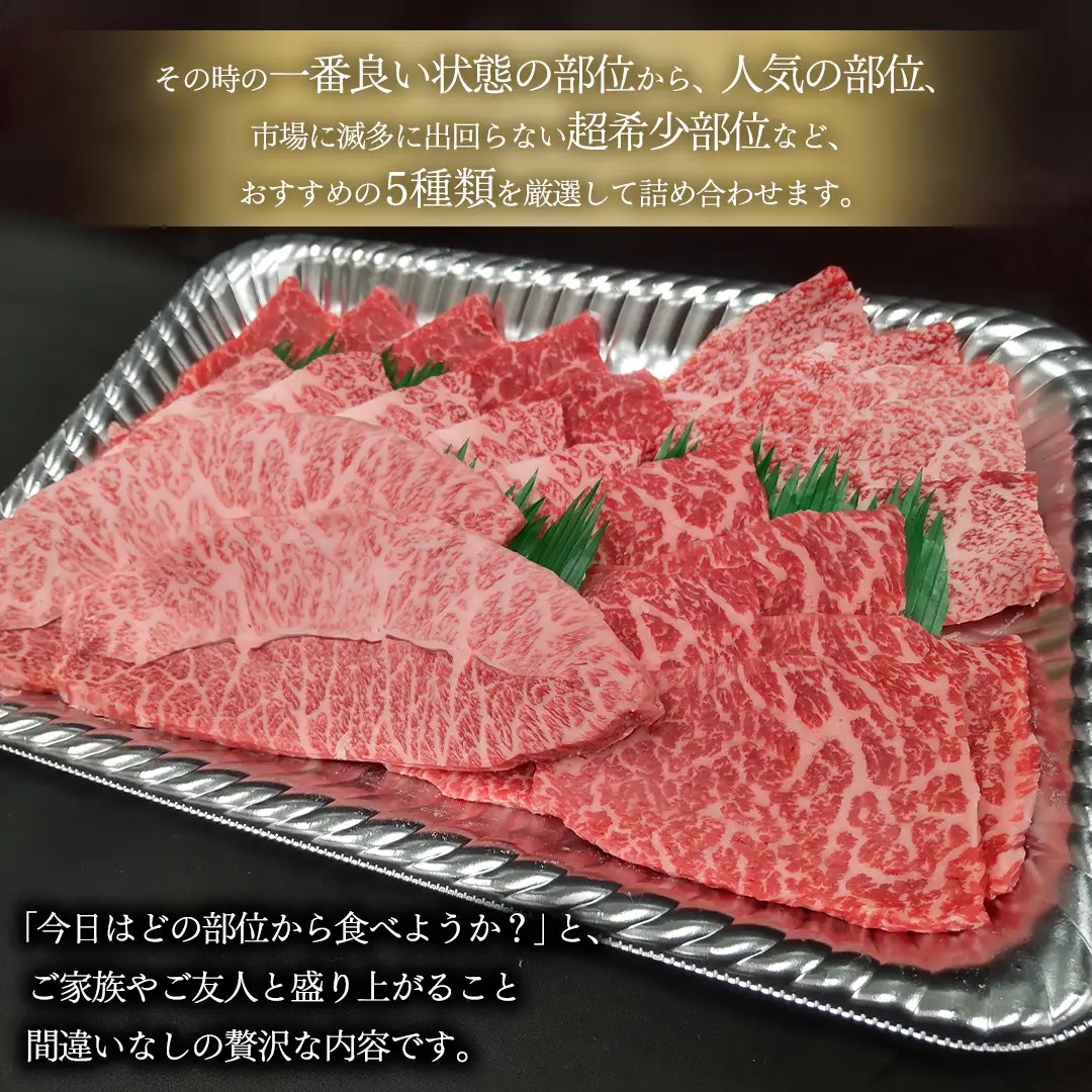 【常陸牛】極上 焼肉 5種食べ比べ セット 400g (各80g) 茨城県共通返礼品 希少部位 霜降り 赤身 黒毛和牛 焼肉 食べ比べ 藤井商店 [CD107sa]