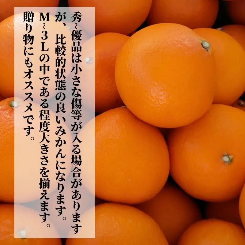 【2027年2月下旬頃から順次発送】愛果48号 秀～優品 約5.0kg  | 愛媛 愛媛県産みかん 蜜柑 ミカン mikan みかん あいか  柑橘 お取り寄せ グルメ 期間限定 数量限定 果物 旬 愛媛県 松山市 【PT052】
