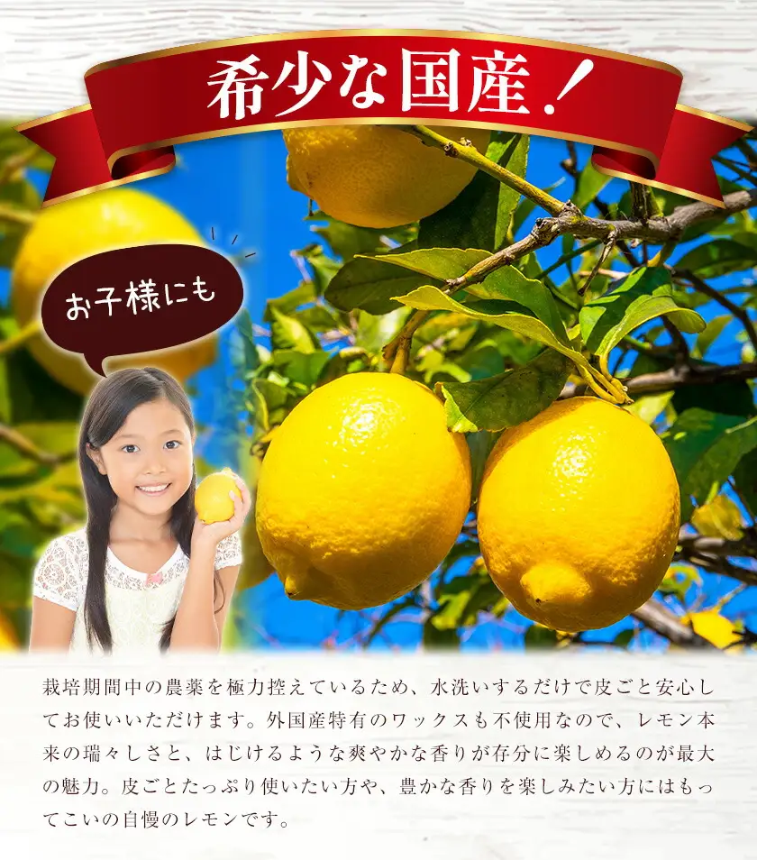 訳あり 国産 レモン サイズ混合 3kg エイワ商店 檸檬 レモン