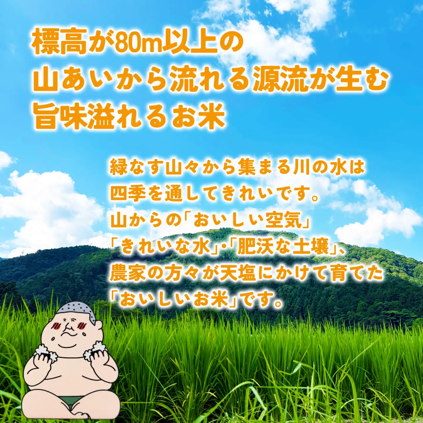 里山のこしひかり ほくの里 10kg × 1袋 |  コシヒカリ 令和7年産