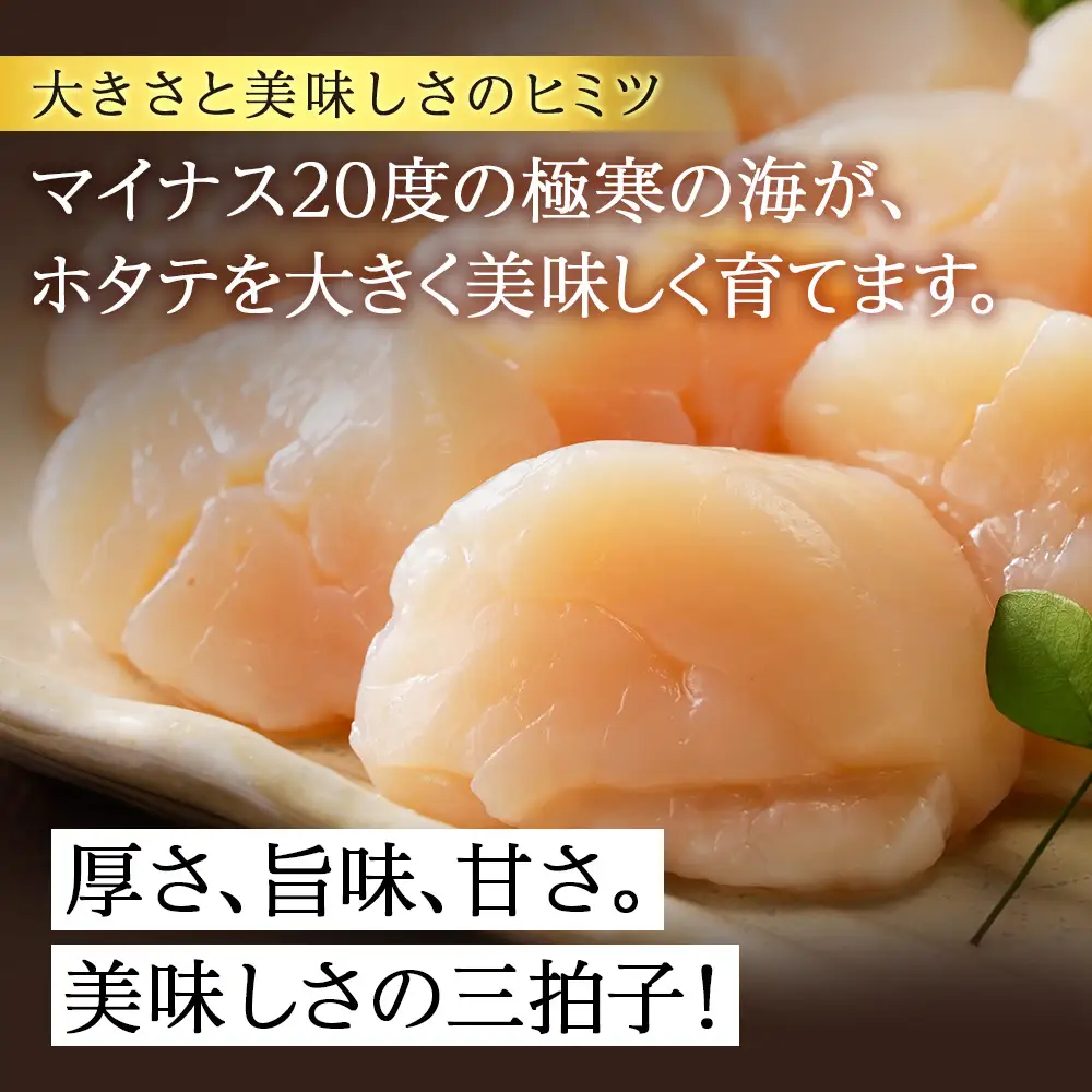北海道産 白老加工 ホタテ玉冷大 計1.6kg（800g×2袋）＜斉藤水産＞ AM210