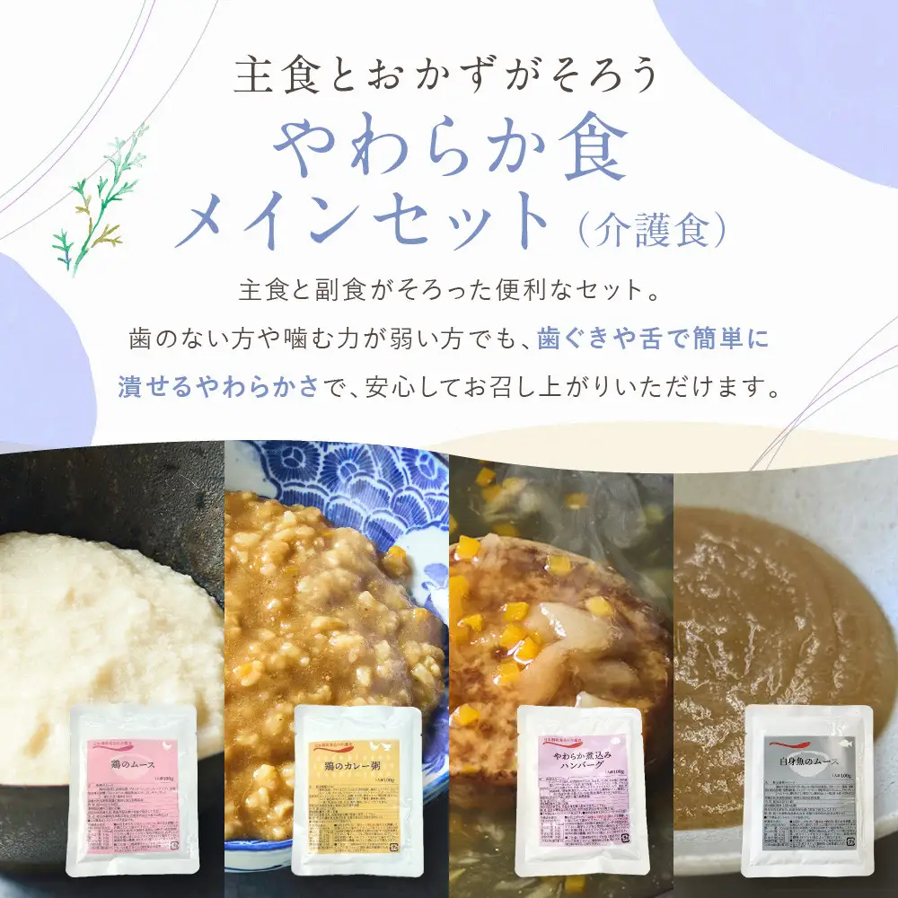介護食 やわらか食 メインセット 鶏のムース/鶏のカレー粥/煮込みハンバーグ/白身魚のムース 各5個｜レトルト 介護食品