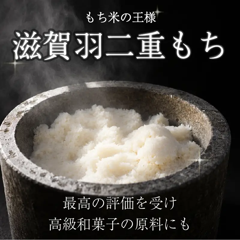 もち米 5kg 滋賀羽二重もち 餅 糯