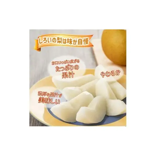 【2026年秋収穫分】豊水 梨 5kg 12～16玉 予約受付 しろいの梨 果汁たっぷり ジューシー みずみずしい 甘い 美味しい