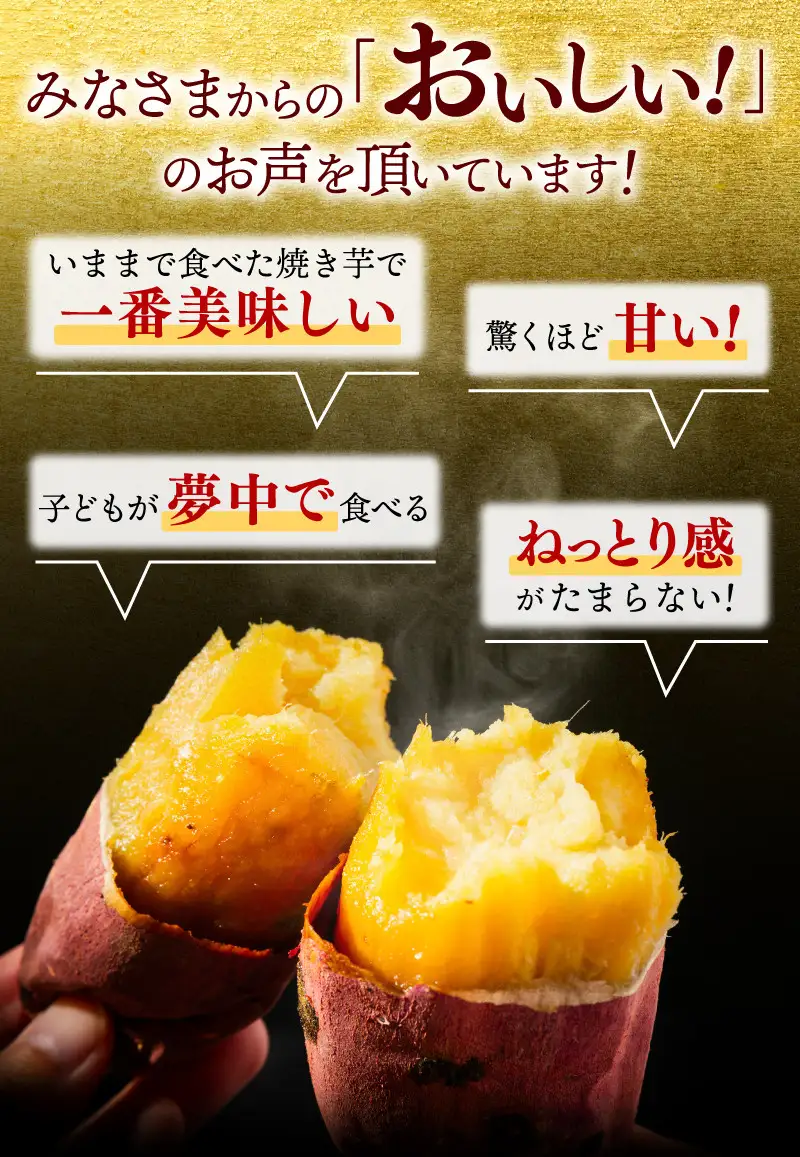 訳あり 焼き芋 冷やし焼き芋 紅はるか 約1.5kg 冷蔵
