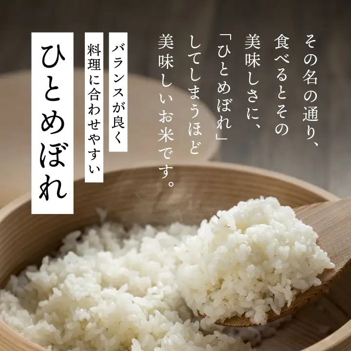 【令和8年先行予約】白米 こしひかり ひとめぼれ 10kg 精米 ブランド米