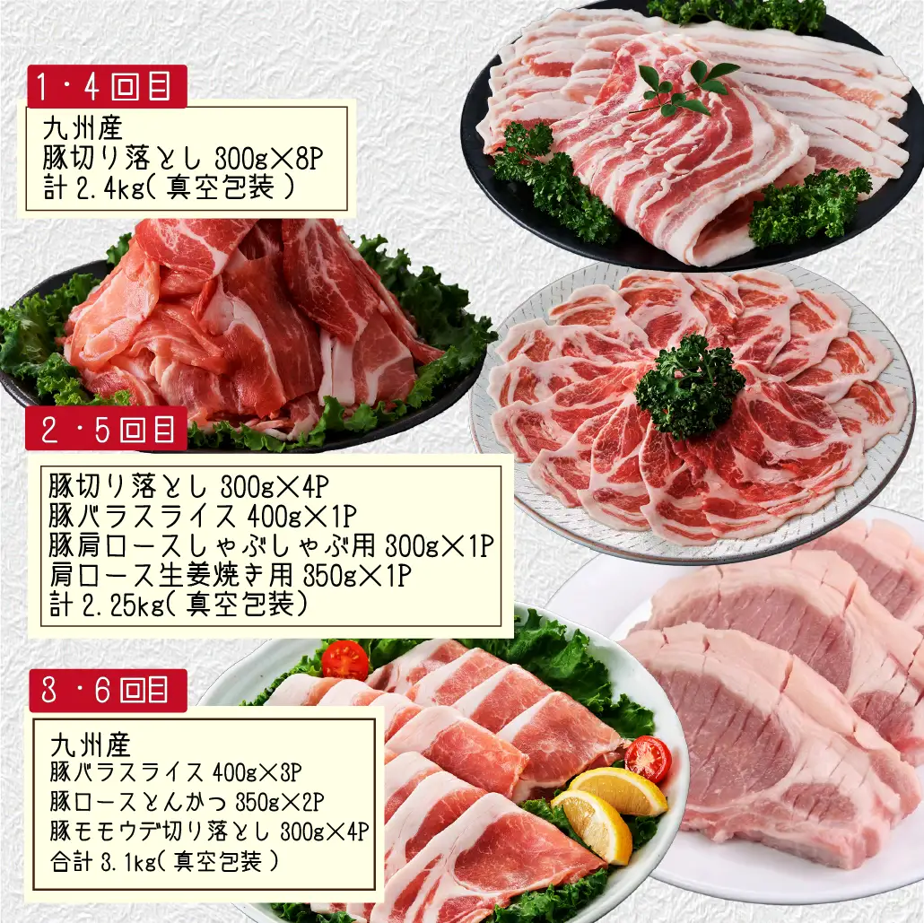 【定期便全6回】生活支援定期便15.5kg(豚切り落とし 豚バラスライス 豚肩ロース しゃぶしゃぶ 肩ロース生姜焼き 豚ロースとんかつ 豚モモウデ切り落とし 国産 九州産）