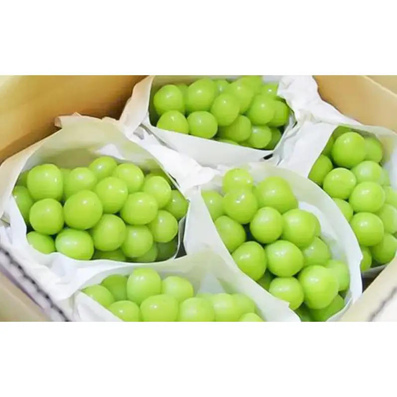 シャインマスカット約2kg(4～5房) マスカット ぶどう 種なし 果物 上田市