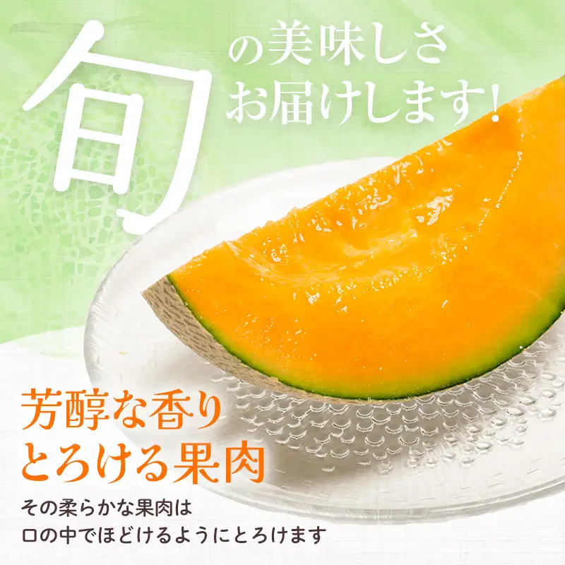 北海道森町産赤肉メロン 中玉 2玉入り(1玉約1.3~1.6kg) ＜道産ネットミツハシ＞ 森町 メロン 果物 赤肉 北海道産 北海道 mr1-1421