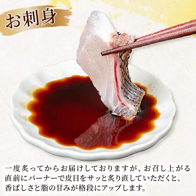 イサキ 皮付き 炙り 1.5尾分 鮮魚 養殖 幸丸水産 刺身 刺し身 冷凍 ギフト 魚 海鮮 さしみ お取り寄せ グルメ 柵 高知県 須崎市