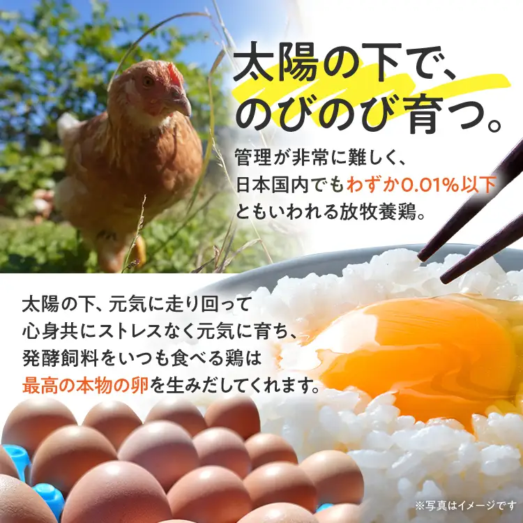 卵 定期便 3回 放牧養鶏卵 10個 「破損補償2個含」 3ヶ月間 若のレボリューション 卵 ※北海道・沖縄・離島は配送不可
