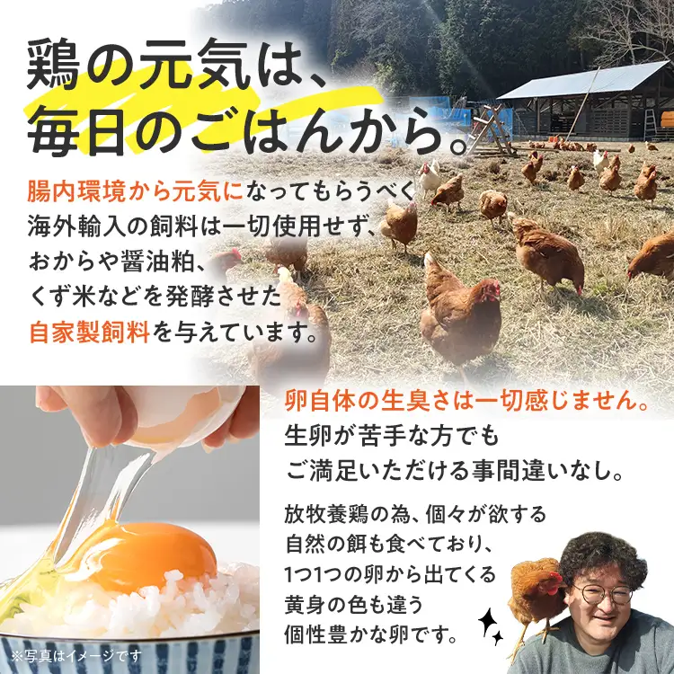 卵 放牧養鶏卵 20個 「破損補償2個含」 若のレボリューション 卵 ※北海道・沖縄・離島は配送不可