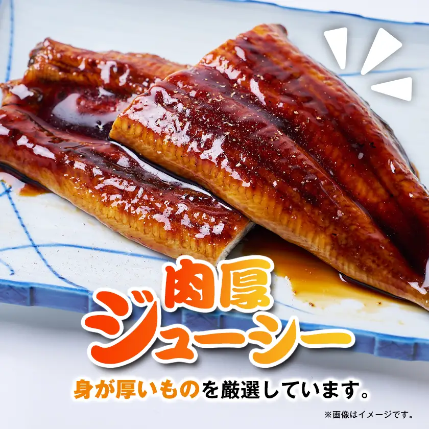 うなぎ長蒲焼約570g(約190g×3)【配送不可地域：離島】【1743609】