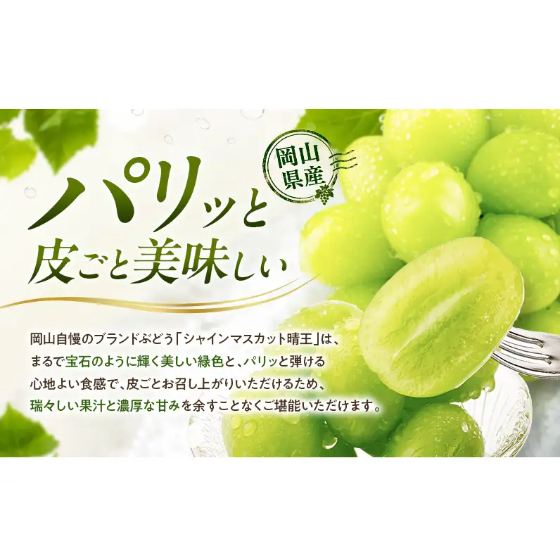 ぶどう 2026年 先行予約 シャインマスカット 晴王 1房 約600g 9月～10月発送 岡山県産 シャインマスカット