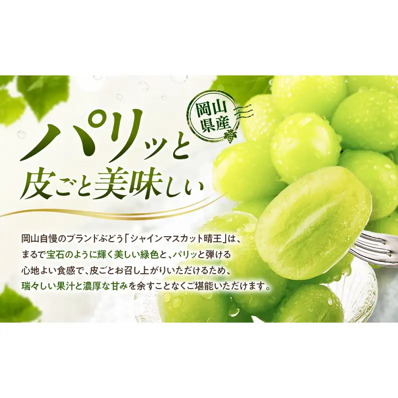 ぶどう 2026年 先行予約 定期便 シャインマスカット 晴王 1房 約600g 9月・10月 2回発送  岡山県産 シャインマスカット