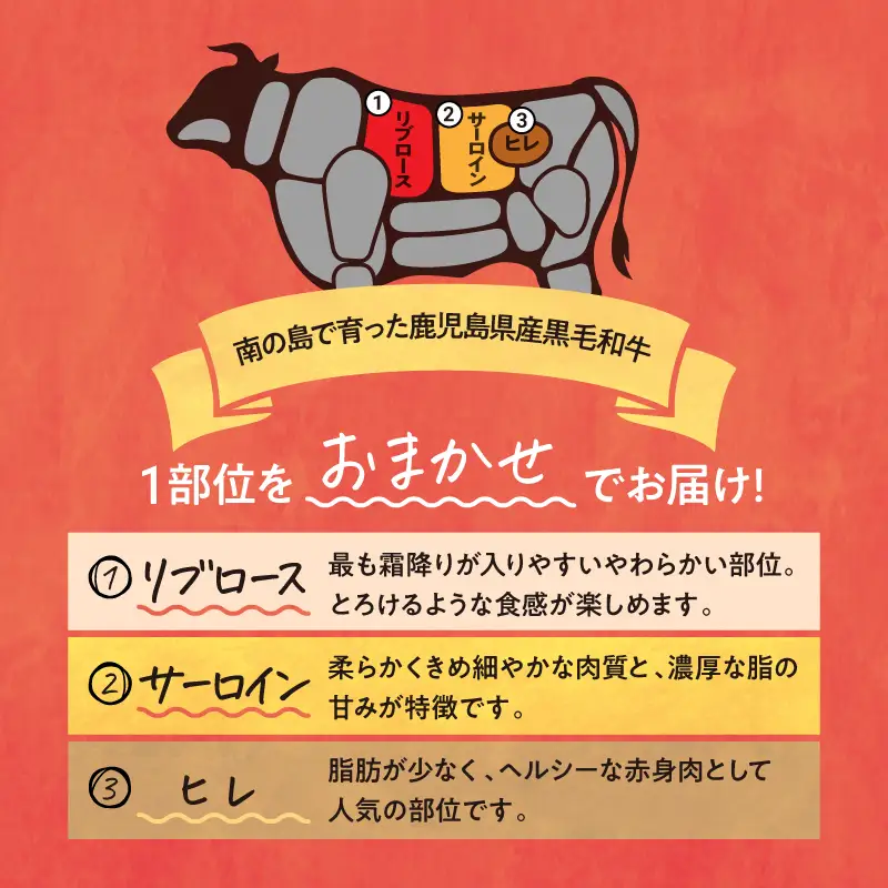 南の島育ち！ 牛 焼肉 おまかせ 800g（ リブロース ・ サーロイン ・ ヒレ のいずれか1部位） C079-001 肉 牛肉 冷凍