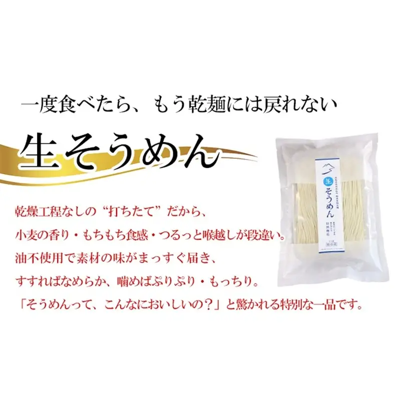 稀少 生そうめん 2人前×3個 乾燥していない「生」のそうめん 本格生麺 そうめん 素麺 つるつる ぷりぷり 新食感