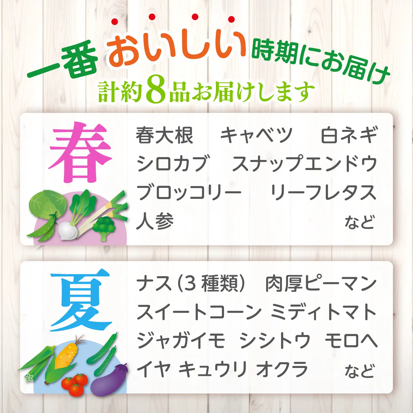 【旬の野菜セット】野菜 産地直送 詰め合わせ 栽培期間中農薬不使用 セット　島根県松江市/須山農園[ALBD004]