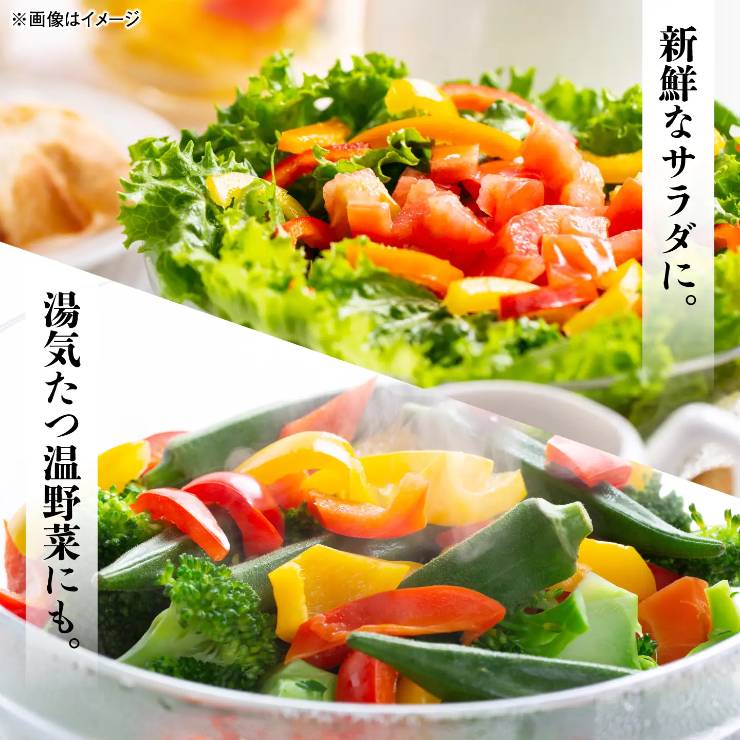 胡麻味噌ドレッシング2本　島根県松江市/株式会社ナレッジリンクス[ALBR014]