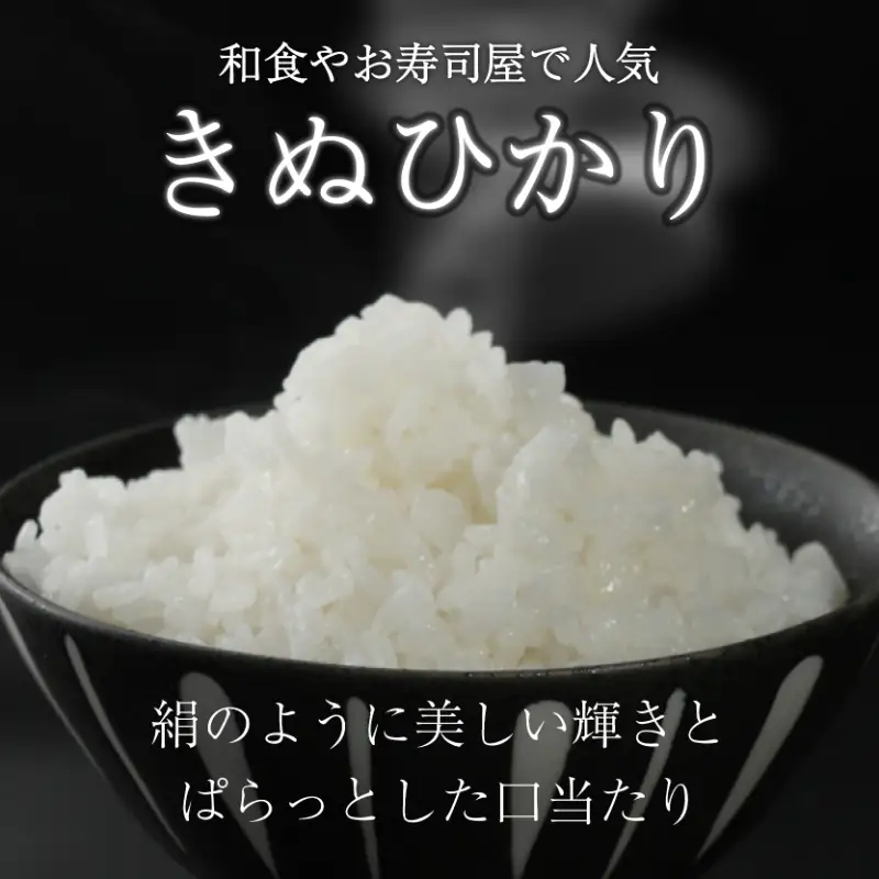 【令和8年産】 先行予約 新米 きぬひかり 5kg 6回定期便 令和8年産 定期便 米 キヌヒカリ